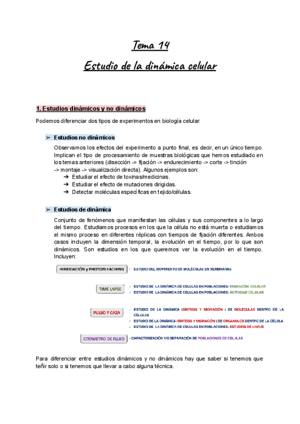 Tema-14-BioCel-Estudio-de-la-dinamica-celular.pdf