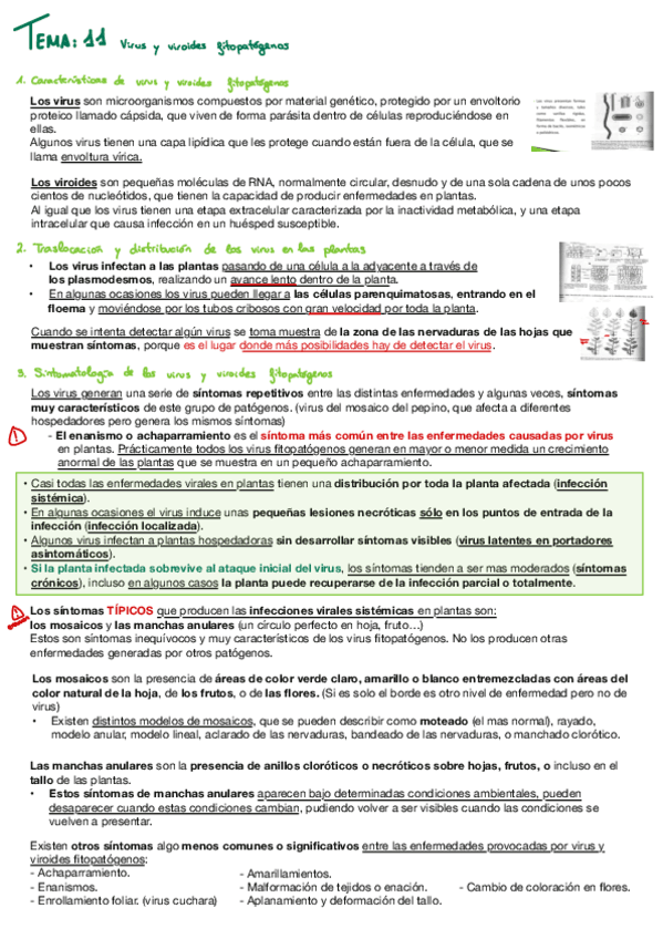 Fitopato-t11-y-t12.pdf