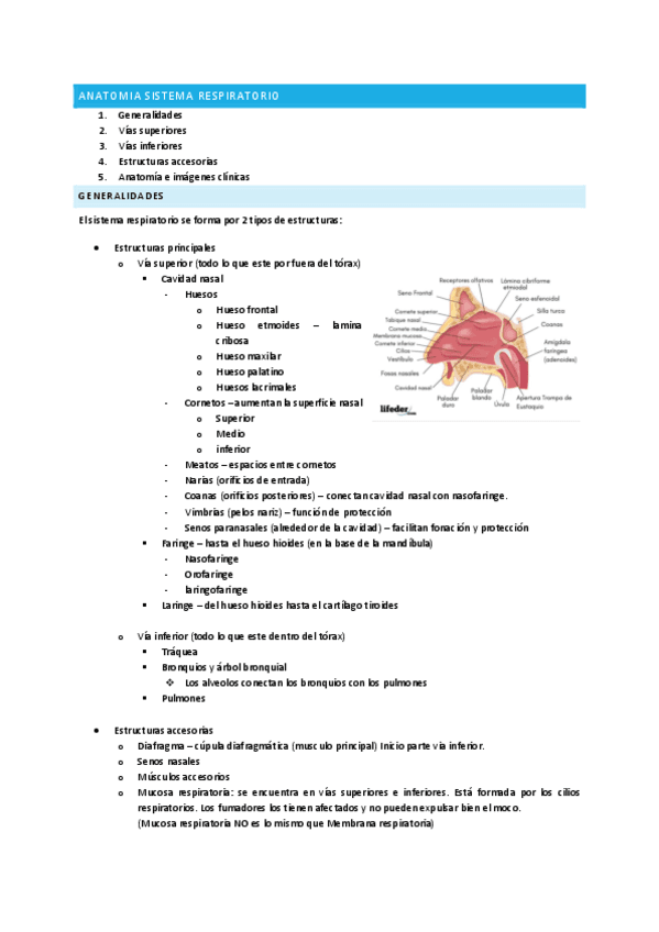 RESPIRATORIO-COMPLETO.pdf