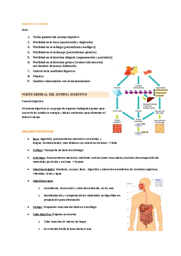 tema-1.pdf