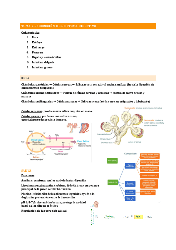 tema-2-secrecion.pdf