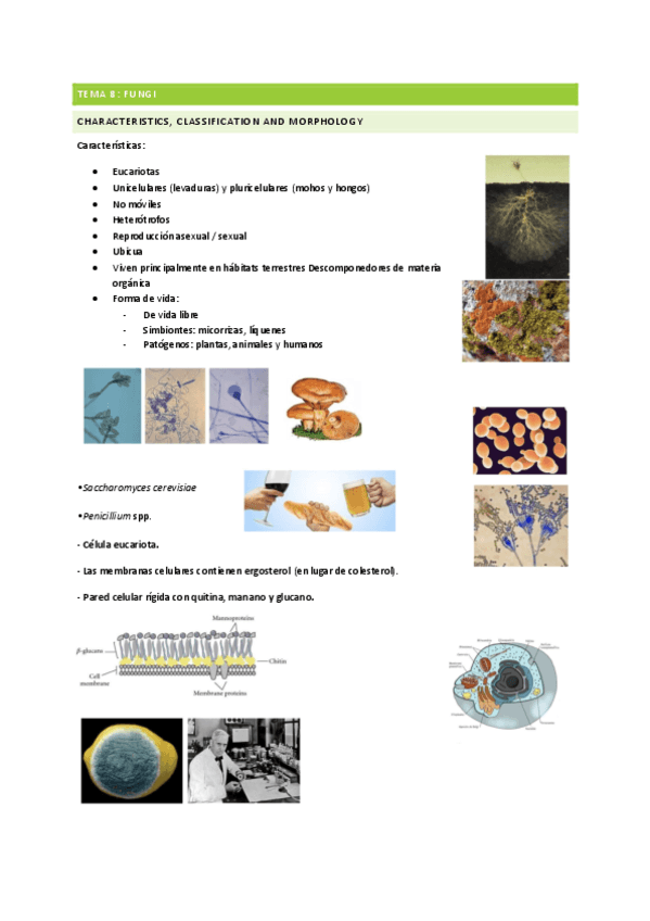 MICOLOGIA-Y-PARASITOLOGIA-PDF.pdf