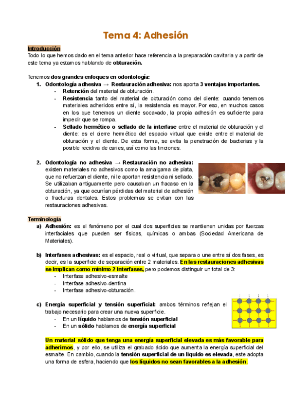 Tema-4-Adhesion.pdf