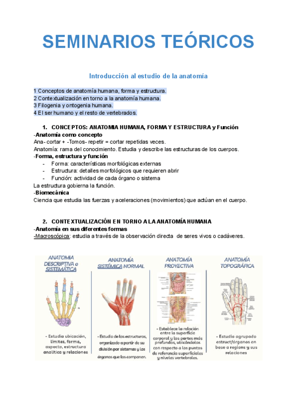 SEMINARIO-TEORICO-ANATOMIA.pdf