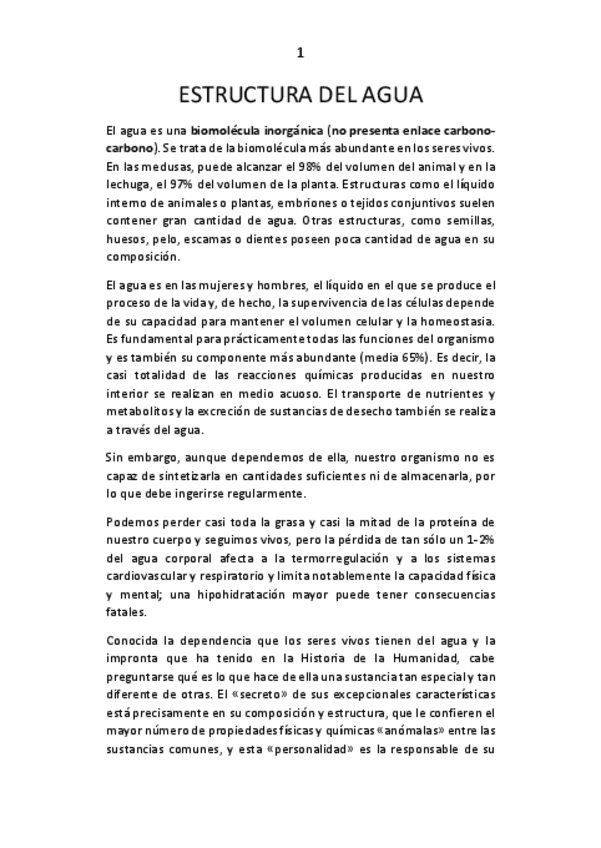 Metabolismo.pdf