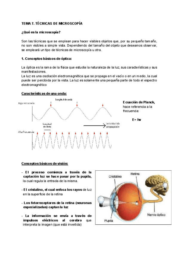 tecnicas-de-microscopia.pdf