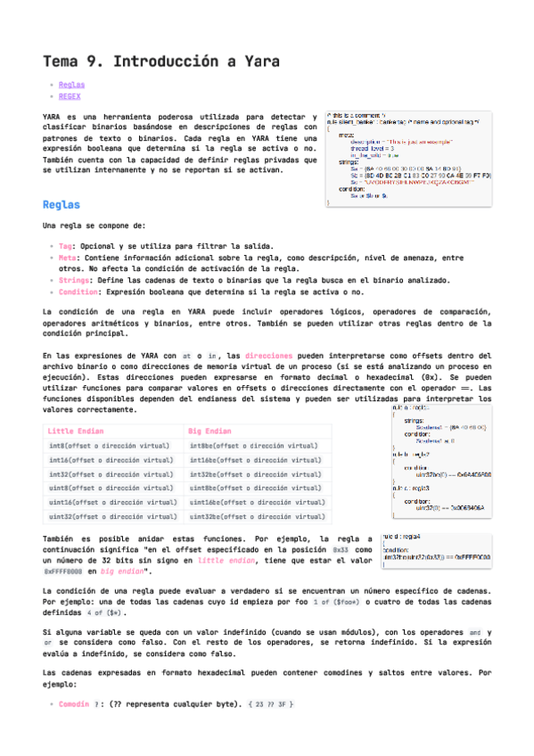 Tema-9.-Introduccion-a-Yara.pdf