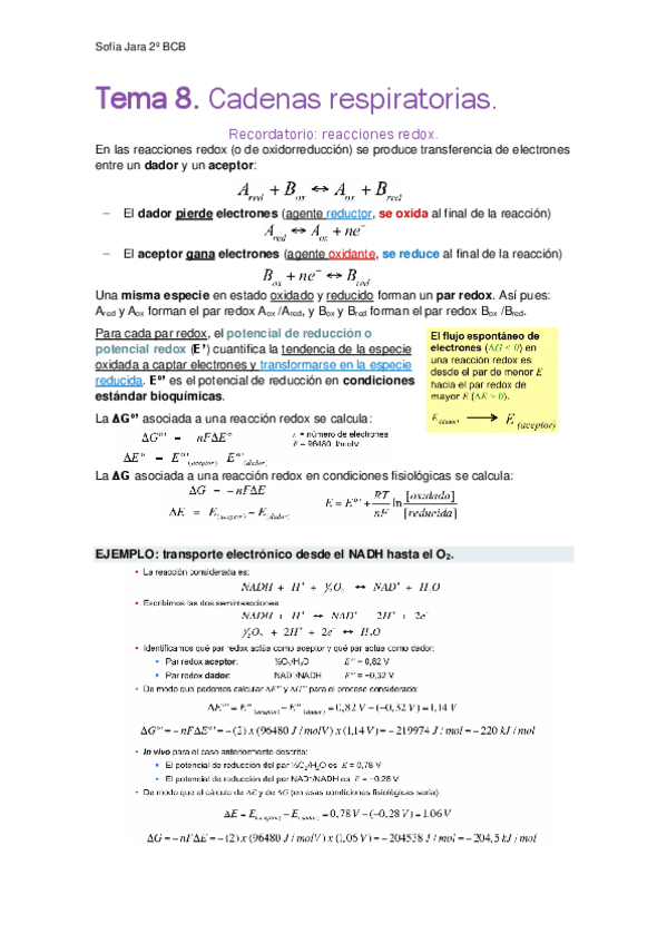 Tema-8.-Cadenas-respiratorias.pdf