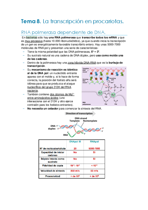Tema-8.-Transcripcion-en-procariotas.pdf