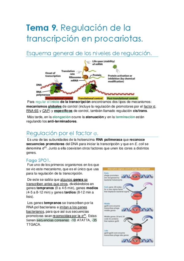 Tema-9.-Regulacion-transcripcion-en-procariotas.pdf