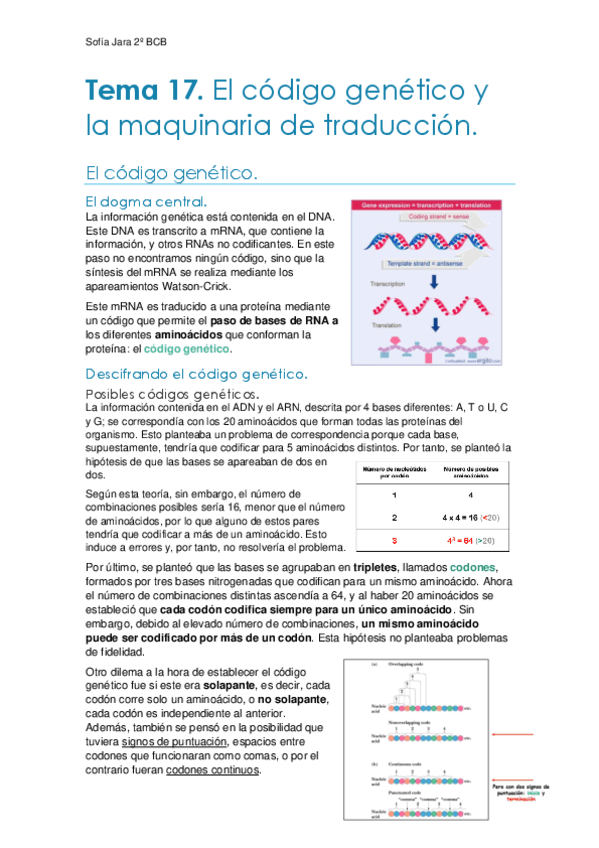 Tema-17.-Codigo-genetico-y-maquinaria-de-traduccion.pdf