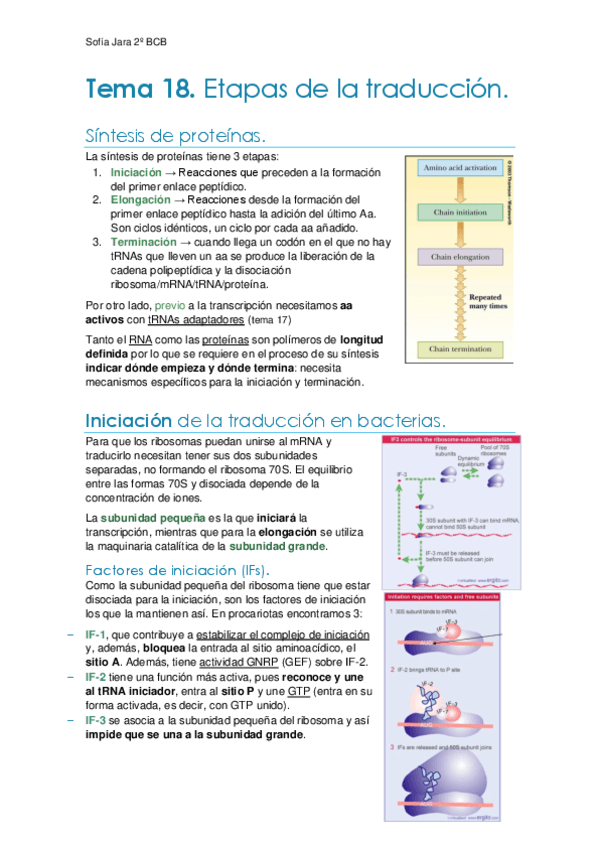 Tema-18.-Etapas-de-la-traduccion.pdf
