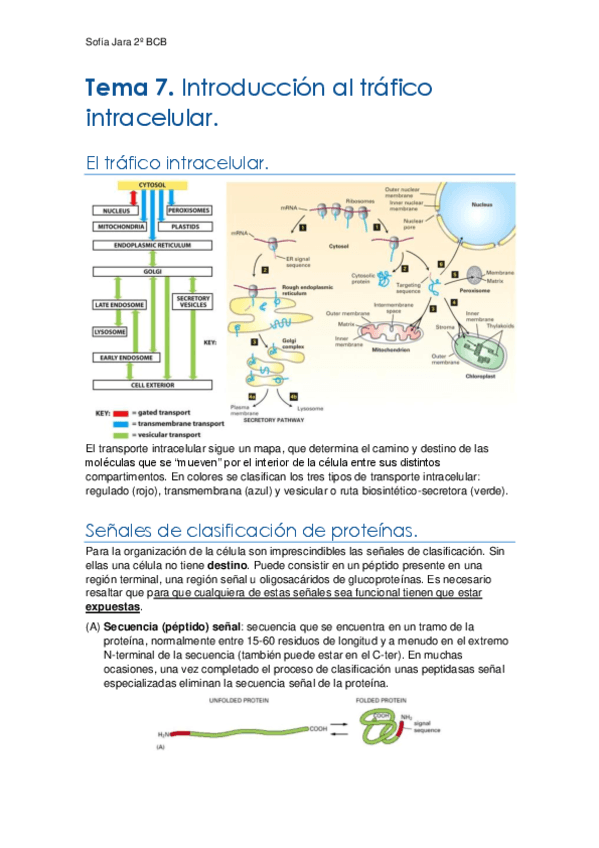Tema-7-y-8.-Intro--transporte-por-poro-nuclear.pdf