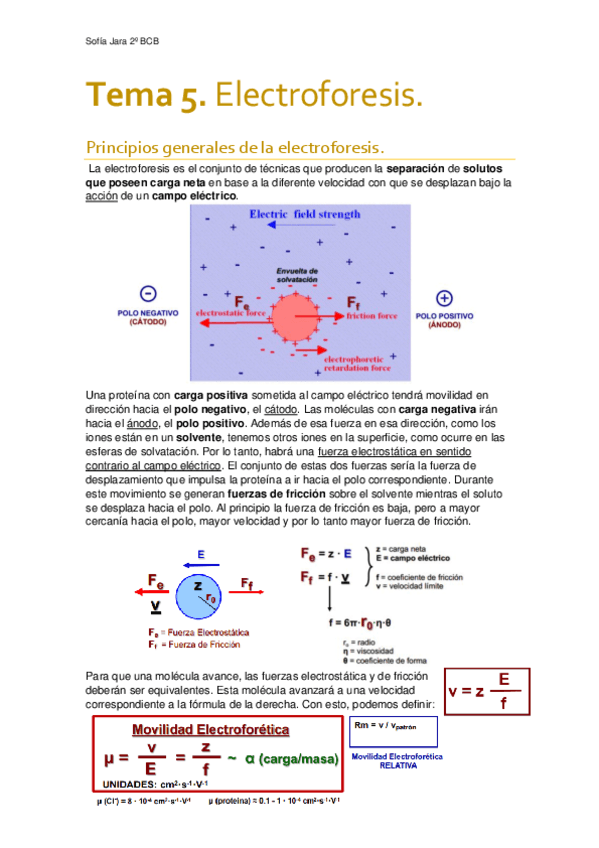 Tema-5.-Electroforesis.pdf