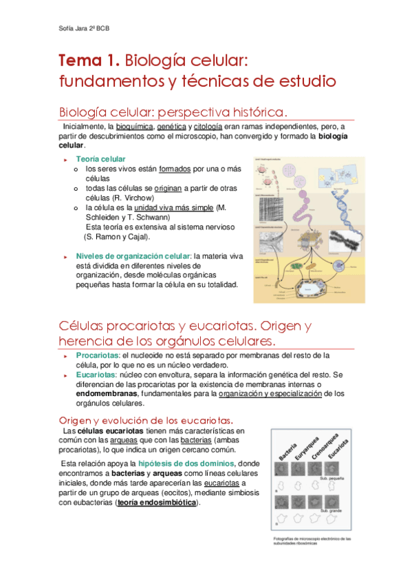 Tema-1.-Biologia-celular-tecnicas-de-estudio.pdf