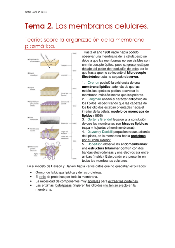 Tema-2.-Las-membranas-celulares.pdf