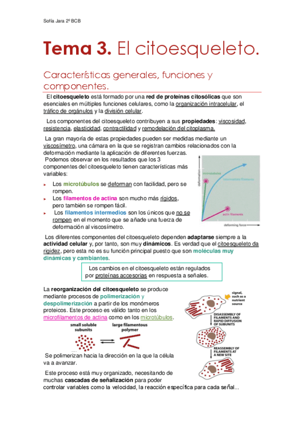 Tema-3.-El-citoesqueleto.pdf