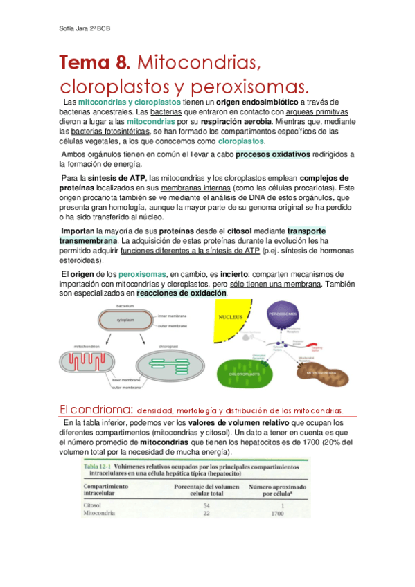 Tema-8.-Mitocondrias-cloroplastos-y-peroxisomas.pdf