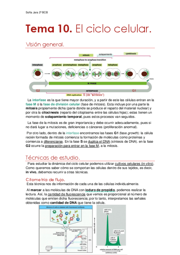 Tema-10.-El-ciclo-celular.pdf