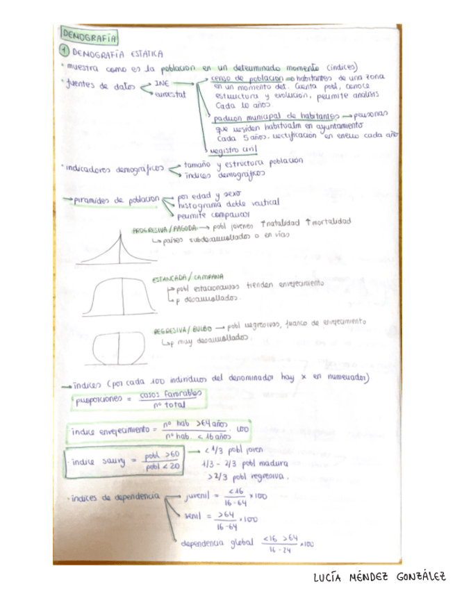 Demografia.pdf