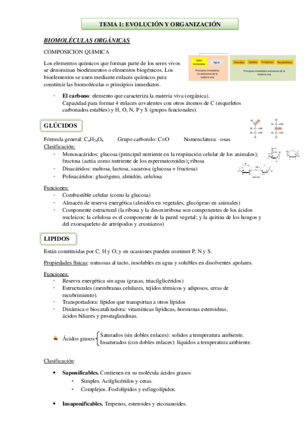 TEMA-1-BIOMOLECULAS-ORGANICAS.pdf