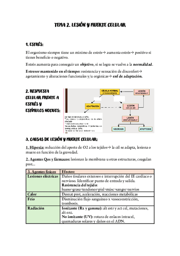 TEMA-2-LESION-Y-MUERTE-CELULAR.pdf