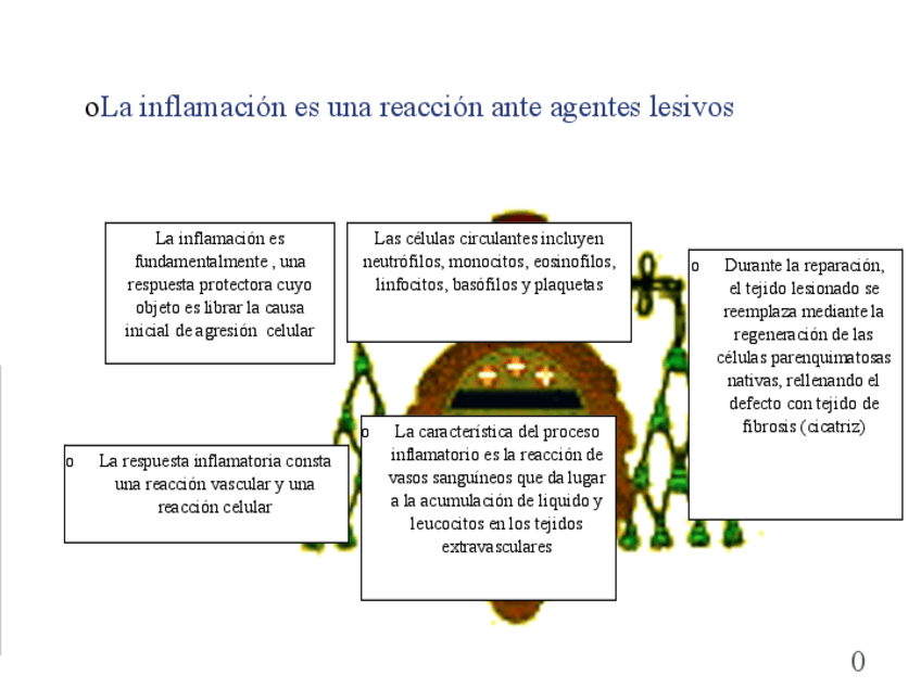 T9.-Respuesta-Biologica-General.pdf