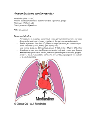 APUNTES ANATOMIA primer dia.pdf
