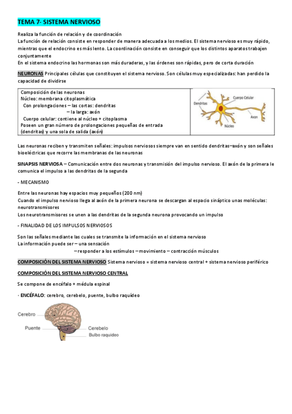 TEMA-7-EL-SISTEMA-NERVIOSO.pdf