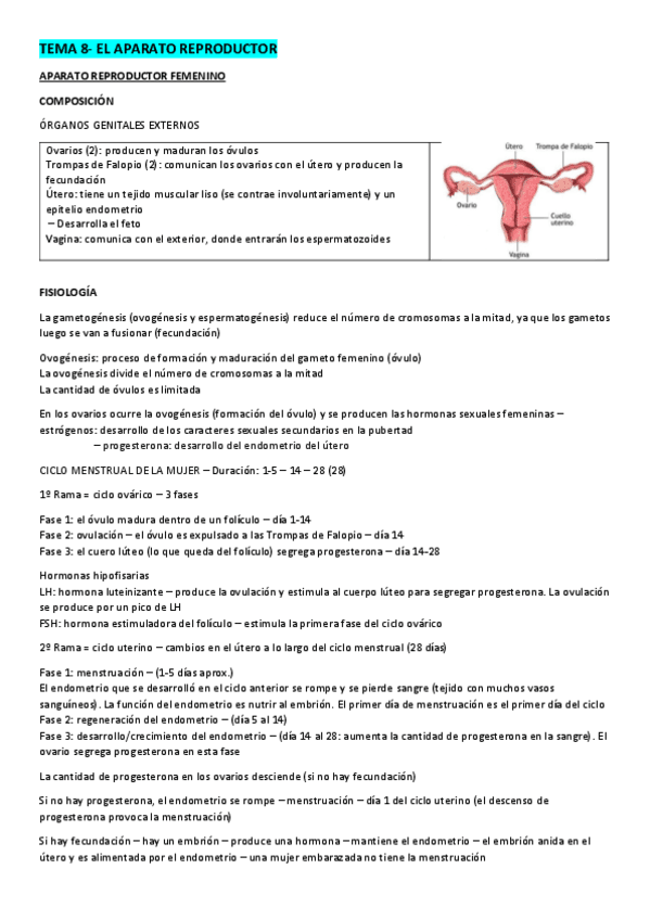 TEMA-8-EL-APARATO-REPRODUCTOR.pdf