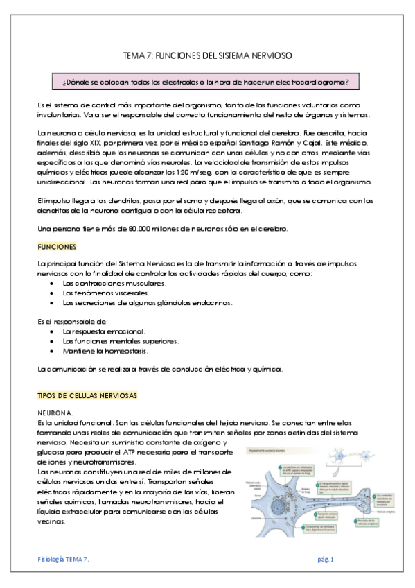 TEMA-7-FUNCIONES-DEL-SISTEMA-NERVIOSO.pdf
