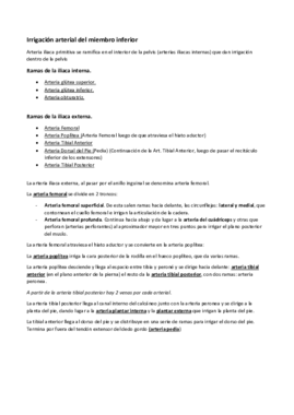 Irrigación arterial del miembro inferior.pdf