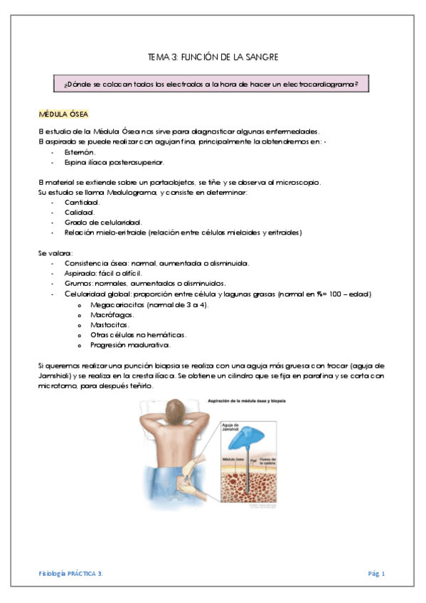 TEMA-3-FUNCION-DE-LA-SANGRE.pdf