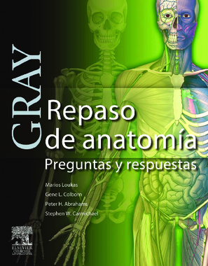 'wuolah-free-Gray.+Repaso+de+anatomia.pdf'.pdf