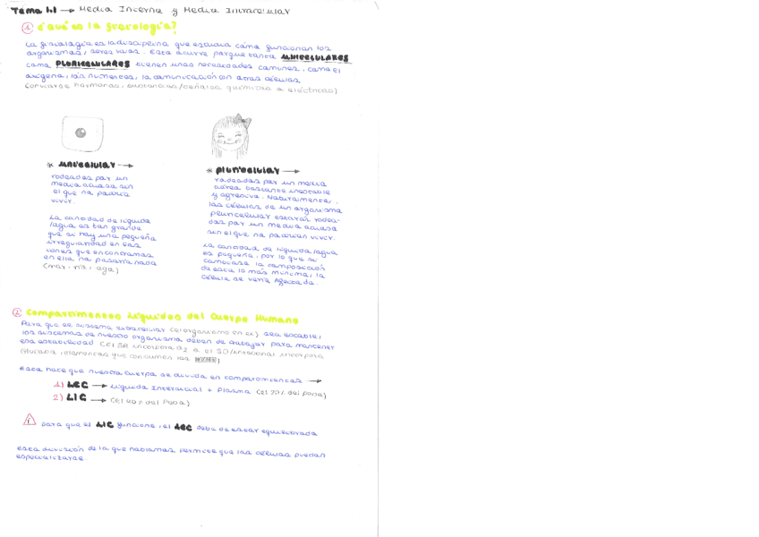 fisiologia-apuntes.pdf