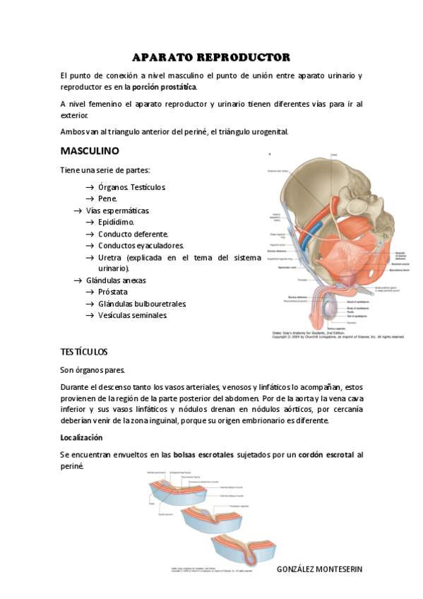 APARATO-REPRODUCTOR.pdf