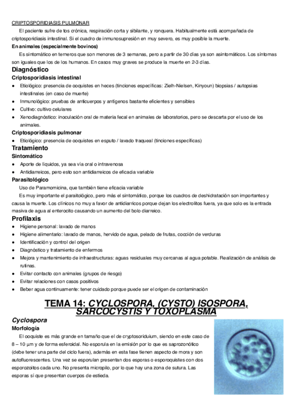 Tema-14.pdf