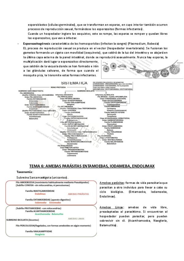 TEMA-6.pdf