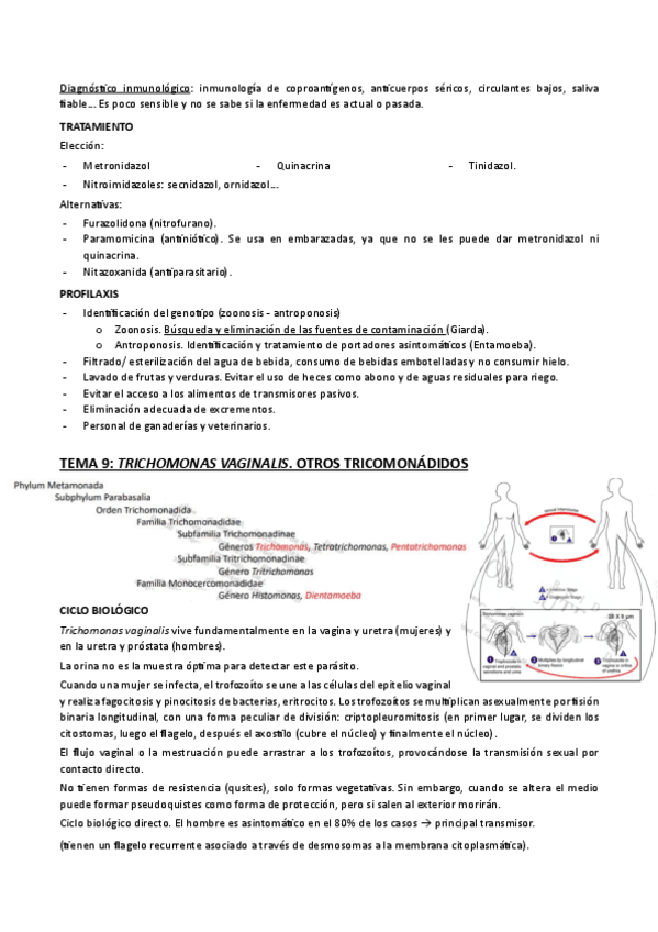 TEMA-9.pdf