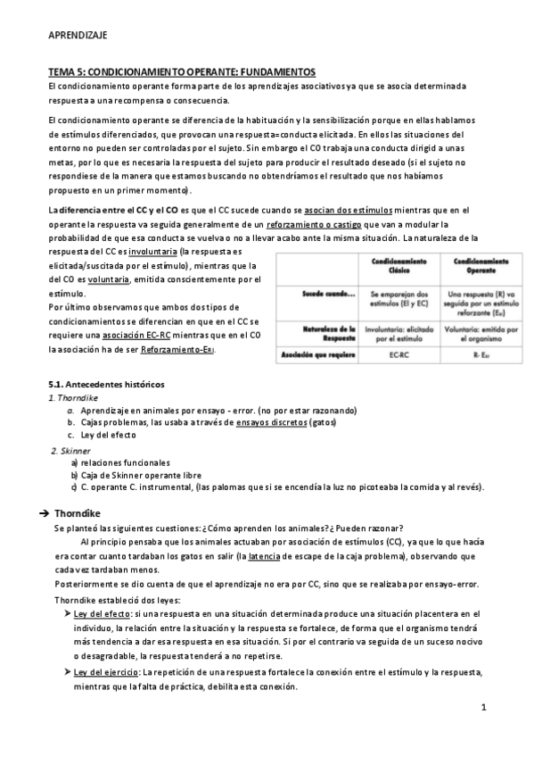 TEMA-5-Aprendizaje.pdf