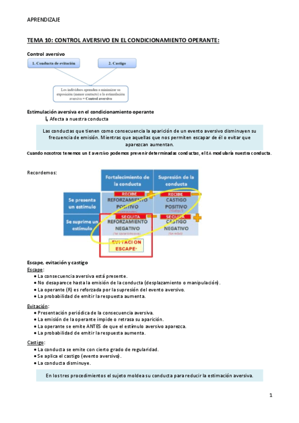 TEMA-10-Aprendizaje.pdf