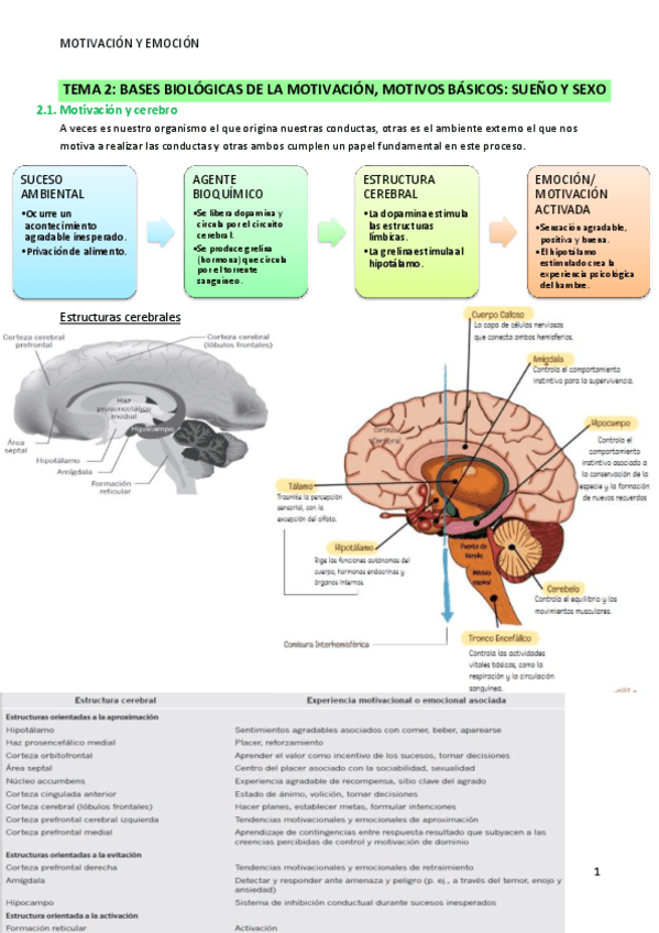 Tema-2-Motivacion-y-Emocion.pdf