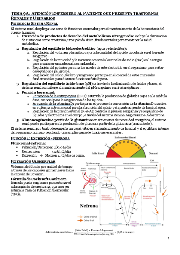 9.1.-Atencion-enfermero-al-Paciente-que-Presenta-Trastornos-Renales-y-Urinarios.pdf