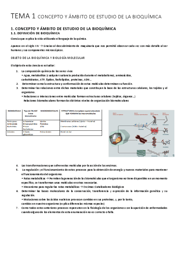 TEMA-1-BIOQUIMICA-APUNTES.pdf