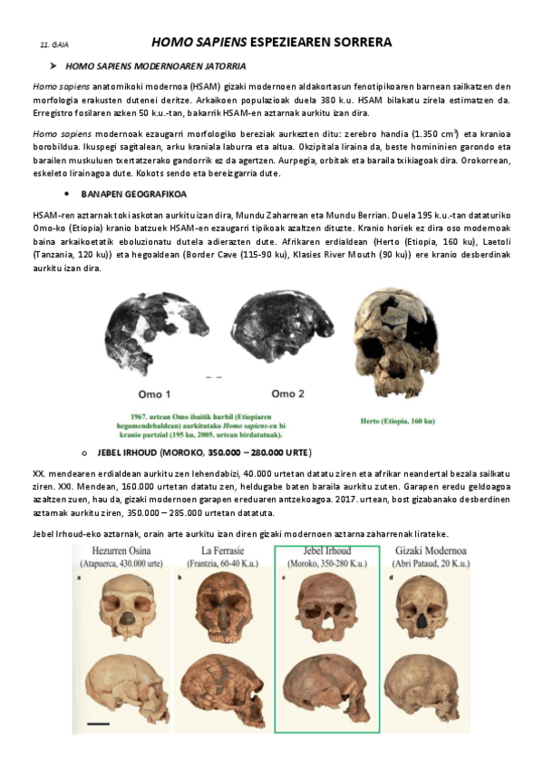11.-Homo-sapiens-espeziearen-sorrera.pdf