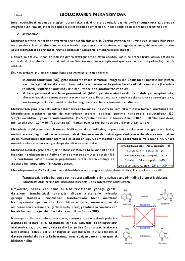3.-Eboluzioaren-mekanismoak.pdf
