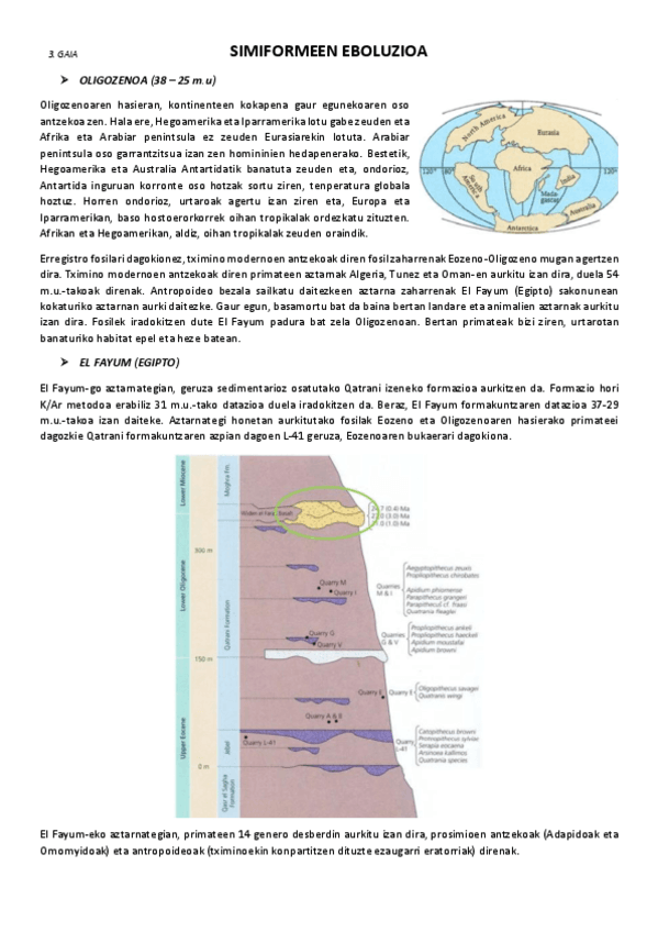 3.-Simiformeen-eboluzioa.pdf