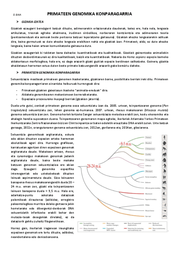 5.-Primateen-genomika-konparagarria.pdf