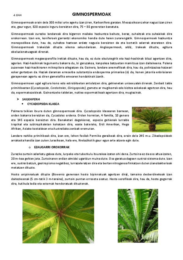 4.-Gimnospermoak.pdf