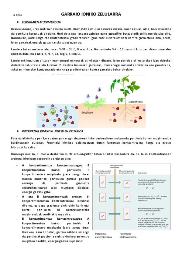 6.-Garraio-ioniko-zelularra.pdf